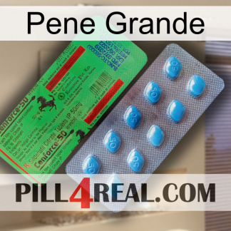 Big Penis new03